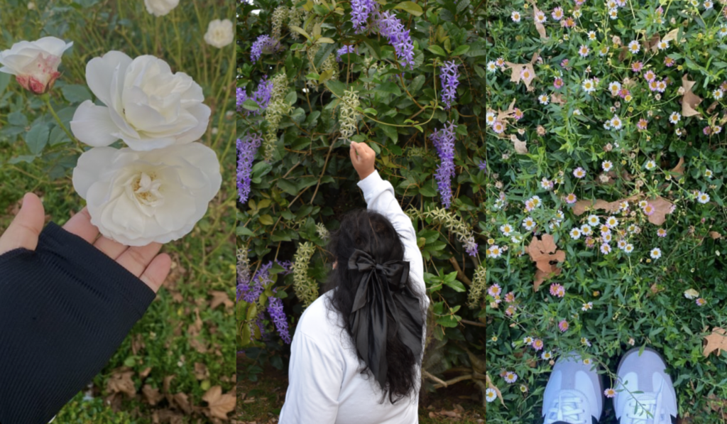 Flowers, flower picking and exploring nature